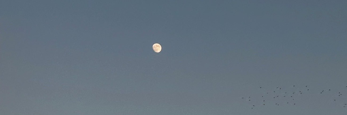 m___gi33's profile banner image
