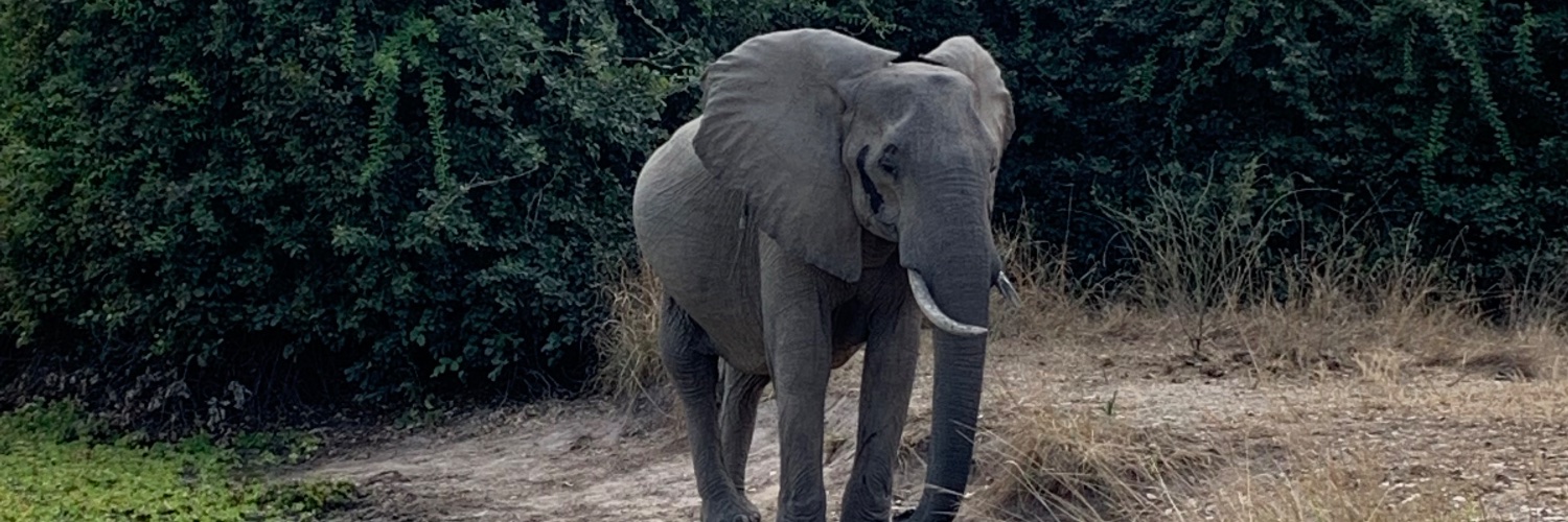 Paul Anderson banner