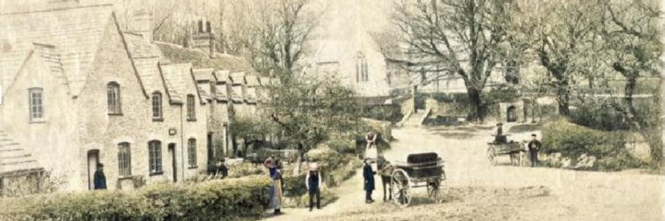 TynehamDorset's profile banner image