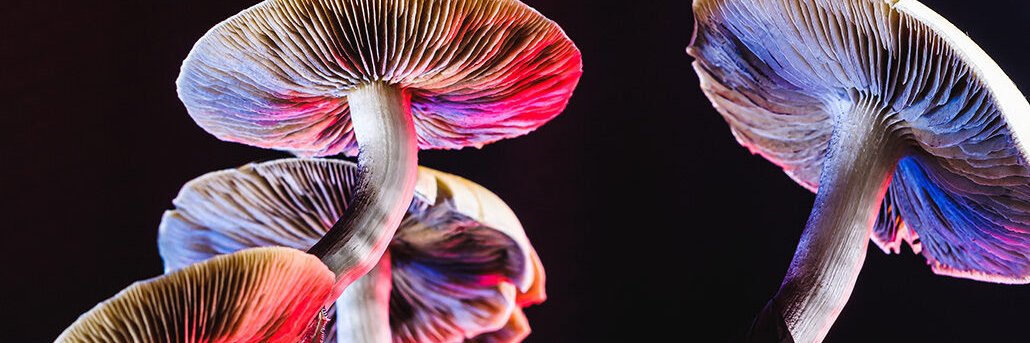 lillsice's profile banner image