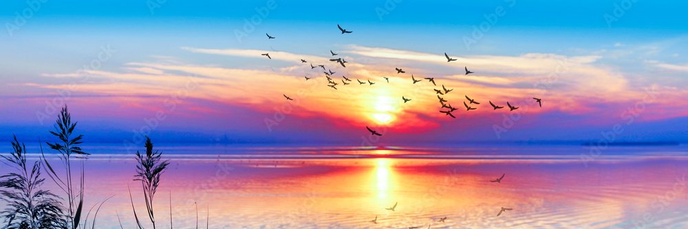 dharmaivanova's profile banner image