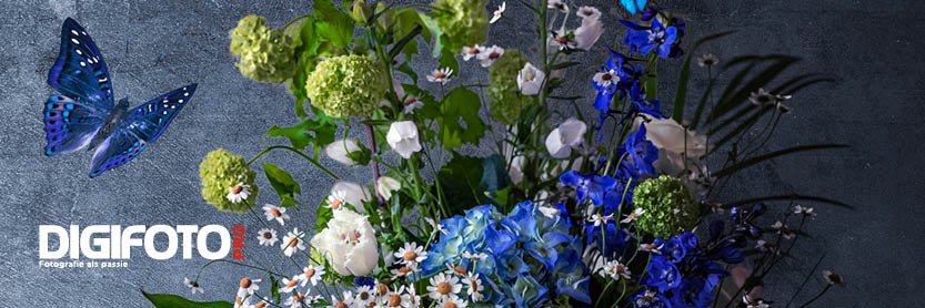 DIGIFOTO Pro banner