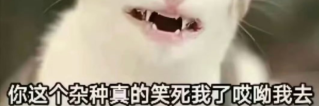 人不为鸡天诛地灭 banner