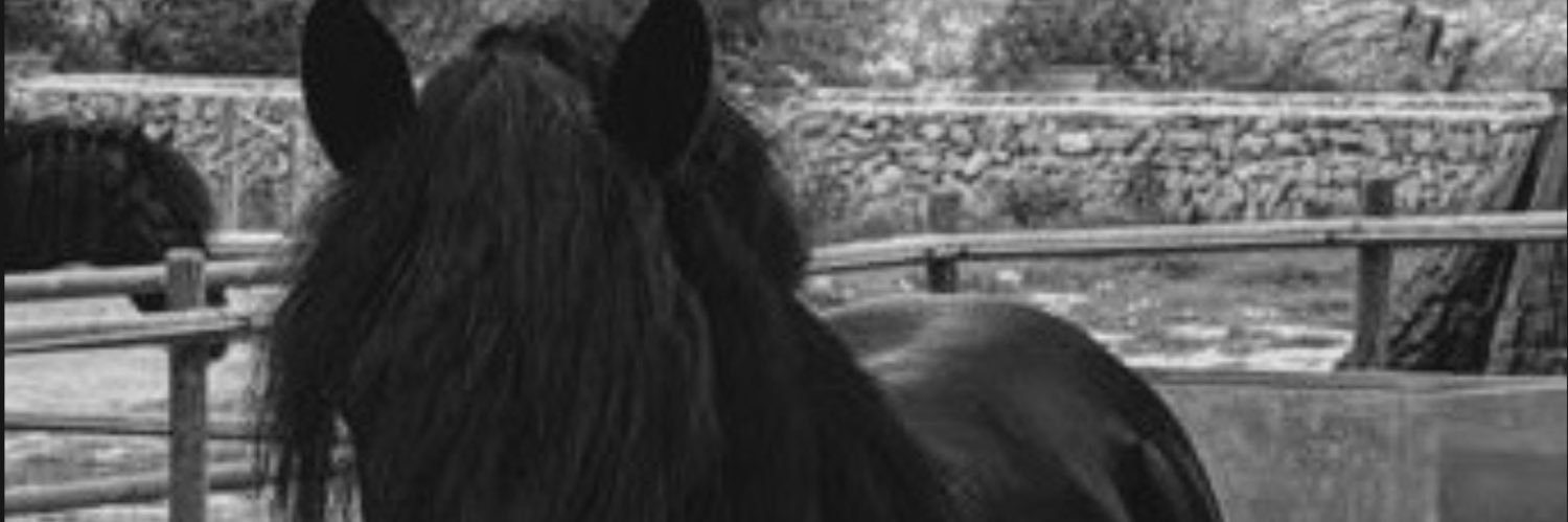 Pablonievaa's profile banner image