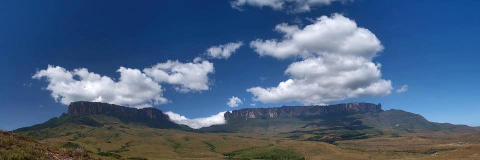 Thais Morales banner