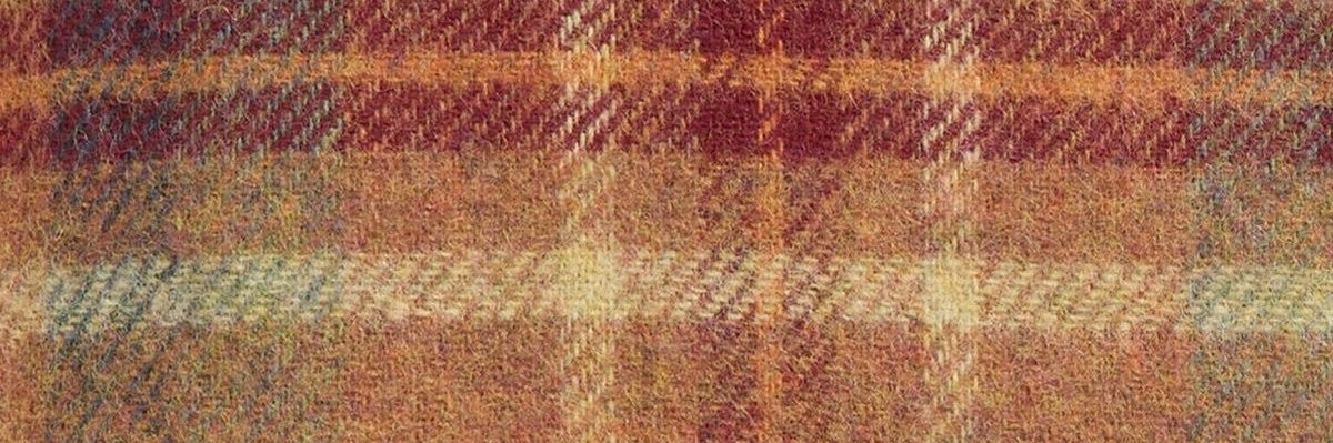 arirabor's profile banner image