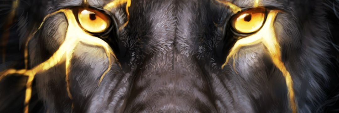 dariusdw32's profile banner image