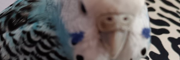 chrischris58493 Profile Banner