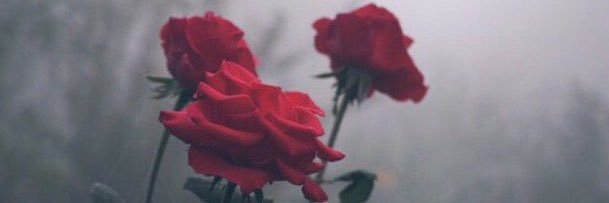 JoryBean's profile banner image