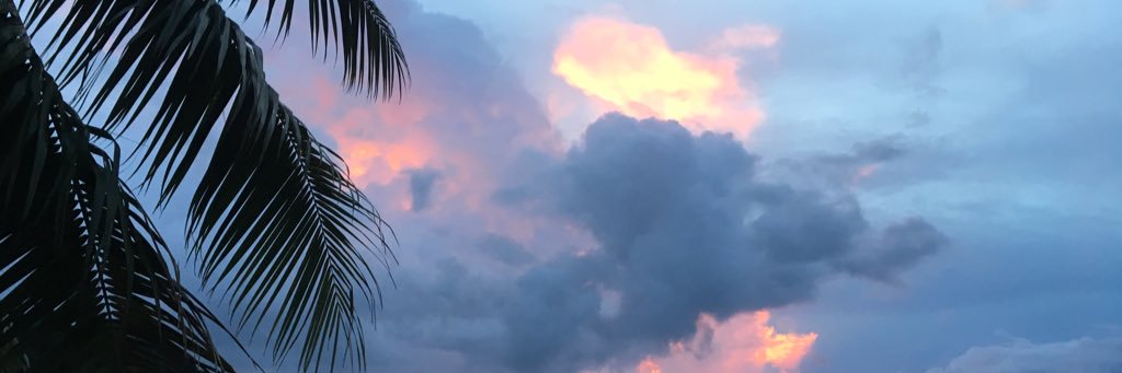 Stephen Stehlin banner