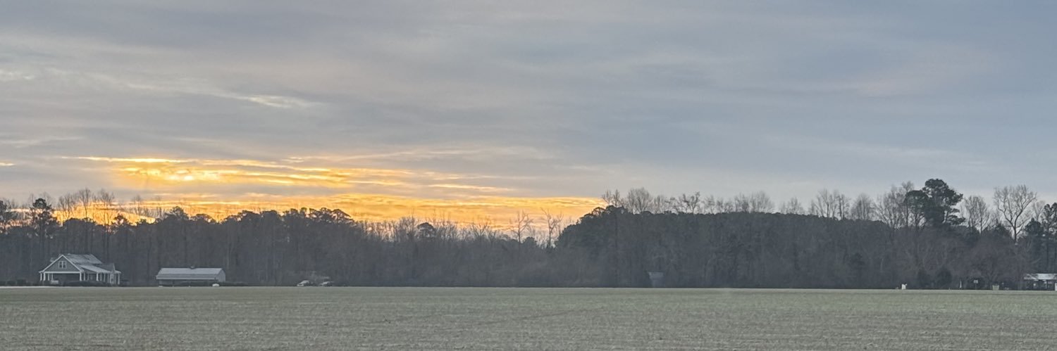 YorkTheArtist's profile banner image