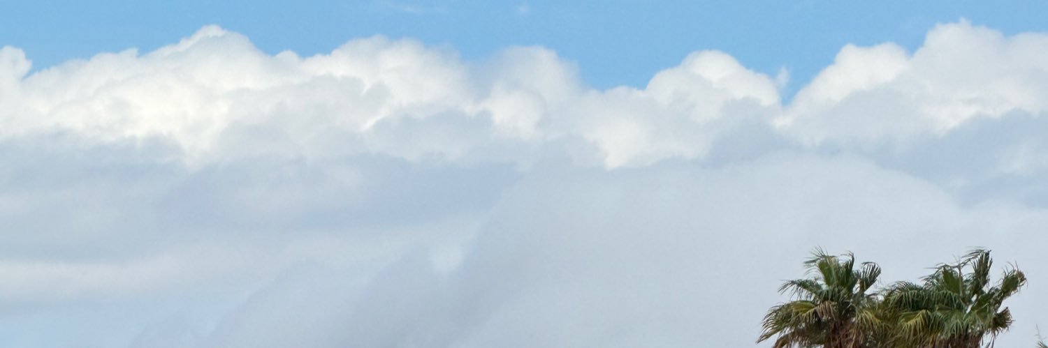 SpenceHimelfarb's profile banner image