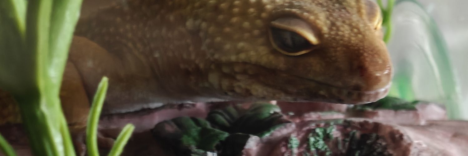Killian banner