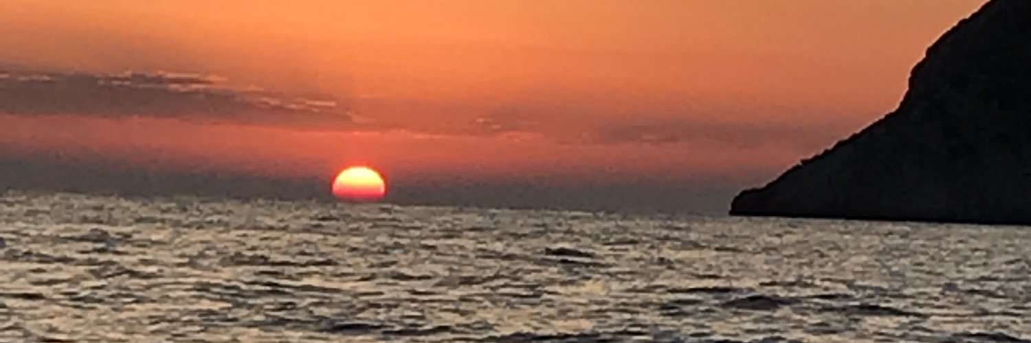 Wilhelm Gerald 🇩🇪🇺🇸 banner