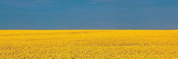 Limu61's profile banner image