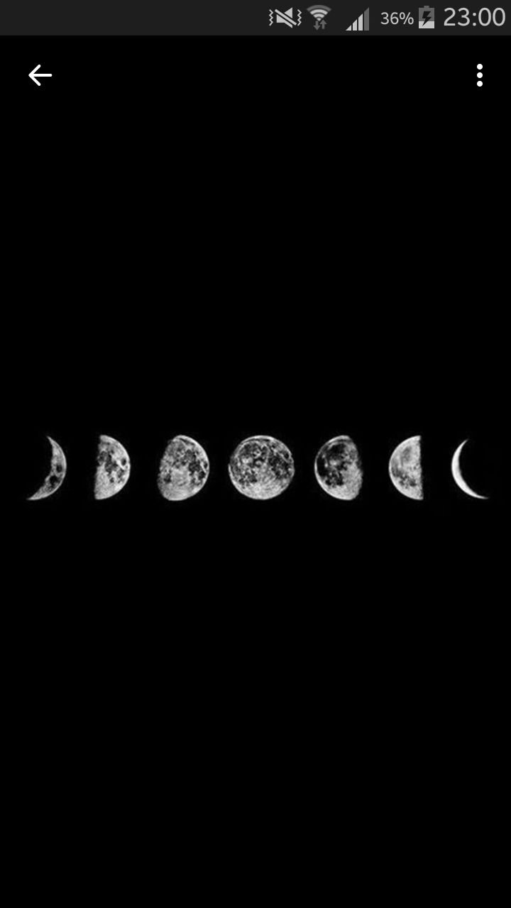 JuliPoncedeleon's profile banner image