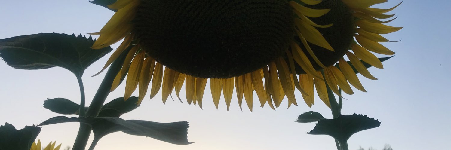 Berfin Taş banner