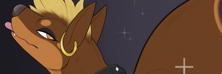 Spice banner