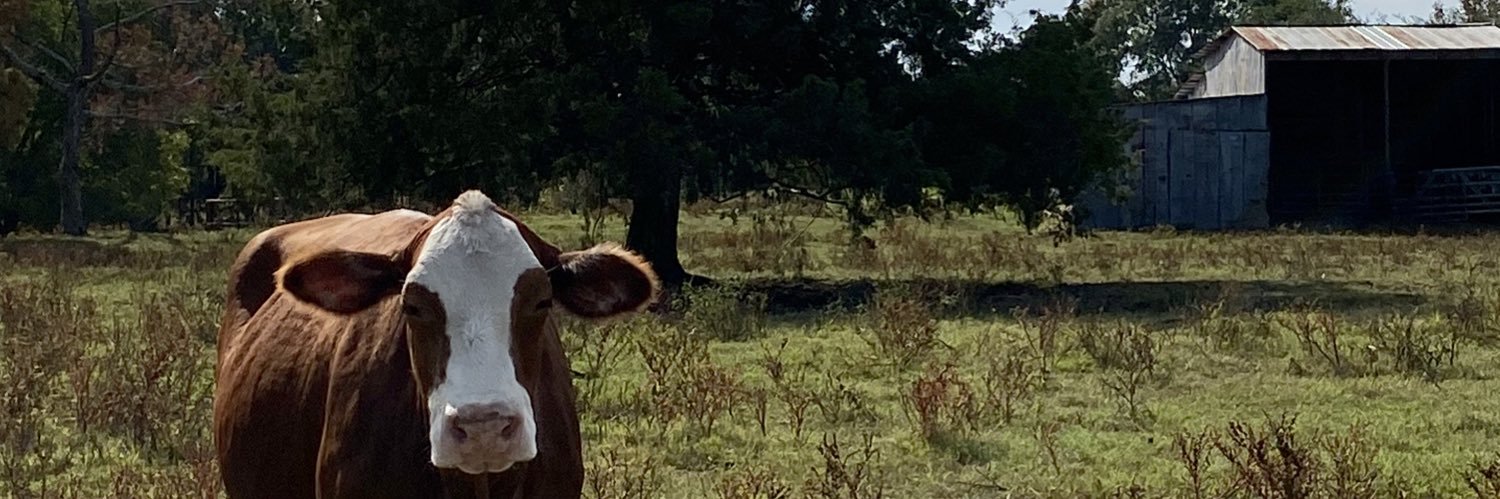 bgreen411's profile banner image