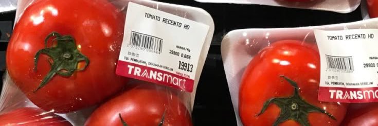 ruby 🍅⋆. banner