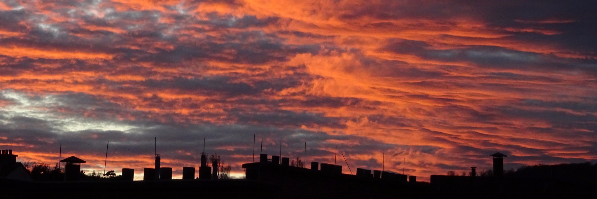 Mark Brownlow banner