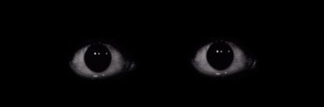 droma10's profile banner image
