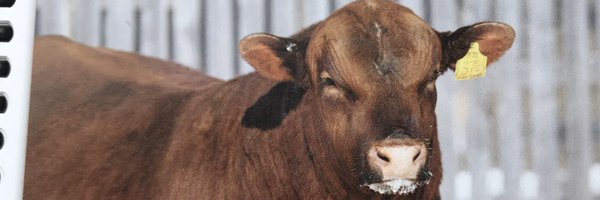 marmac5 Profile Banner