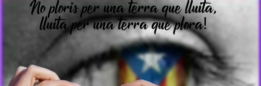 annaarias11's profile banner image