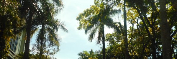 loaeyin Profile Banner