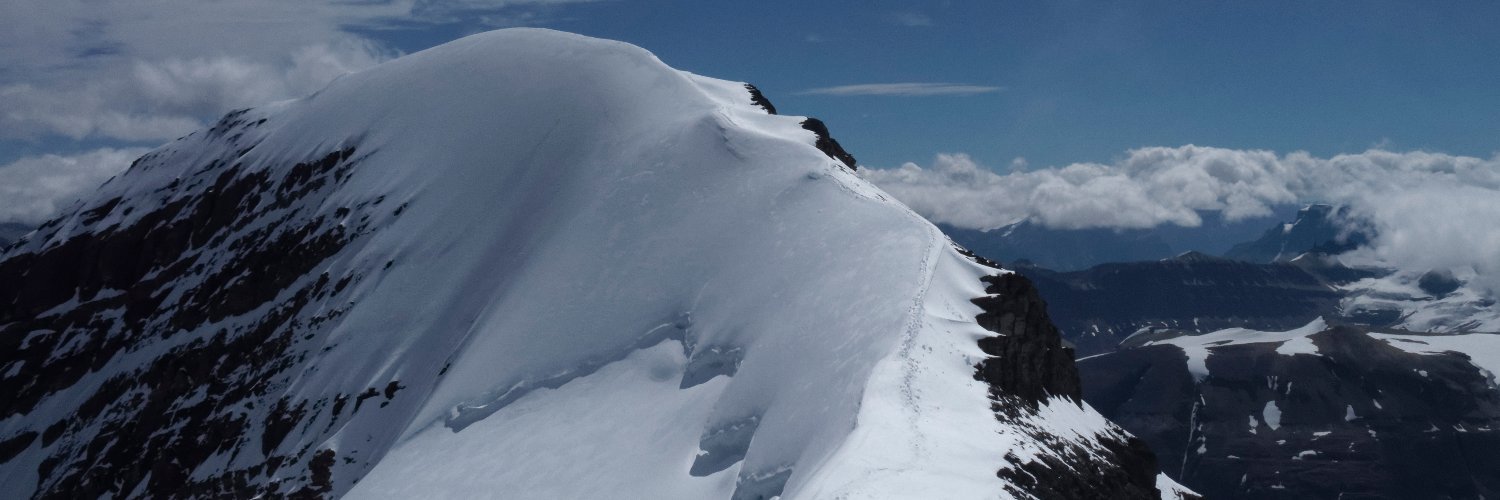ahadicow's profile banner image