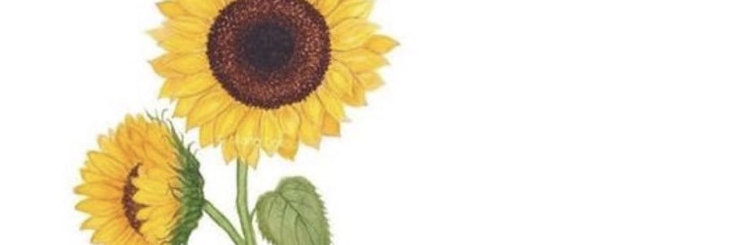 maddykey18's profile banner image