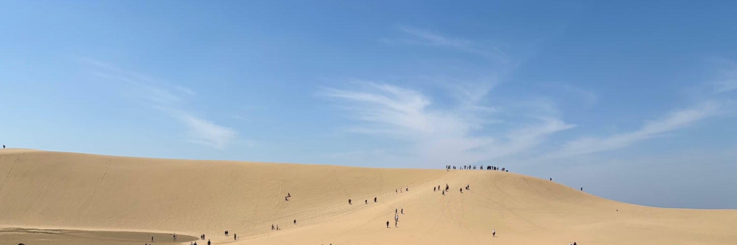 kinomi☺︎🦕2m banner