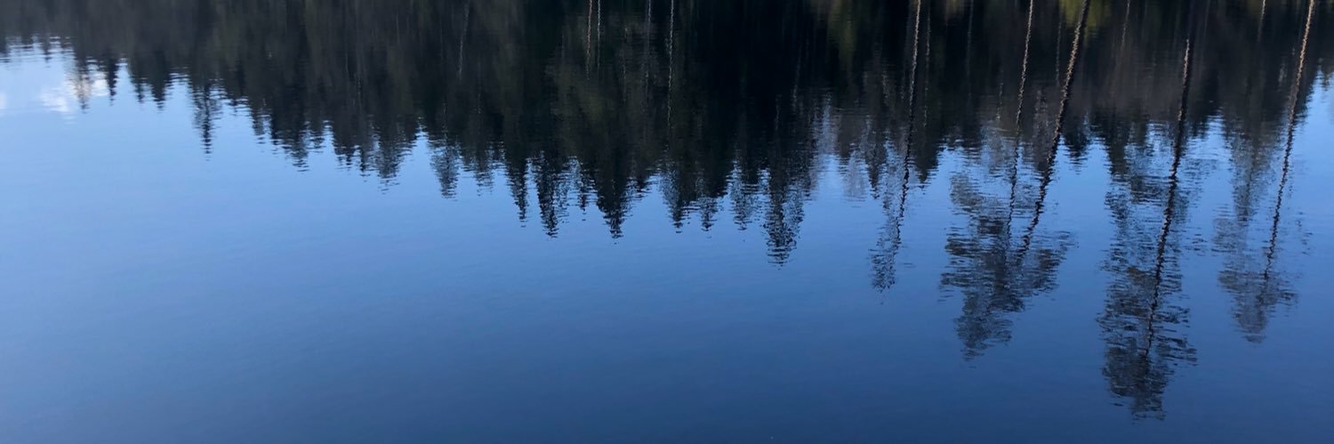 Christian Stichler banner