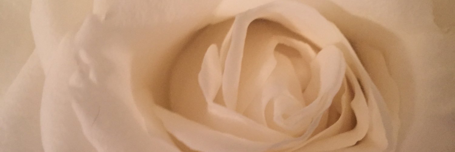 mildred_pepper's profile banner image
