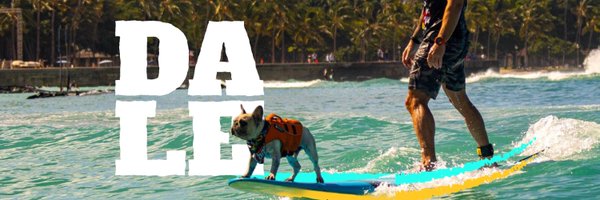DaletheFrenchie Profile Banner