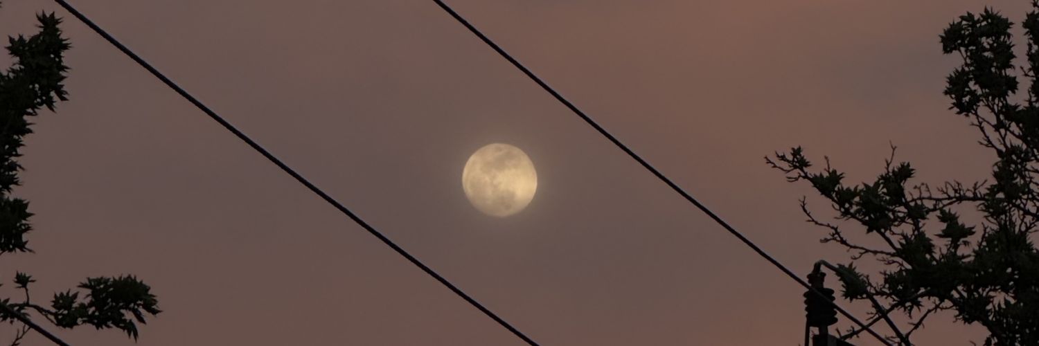 دیدهِ مست قجری! banner