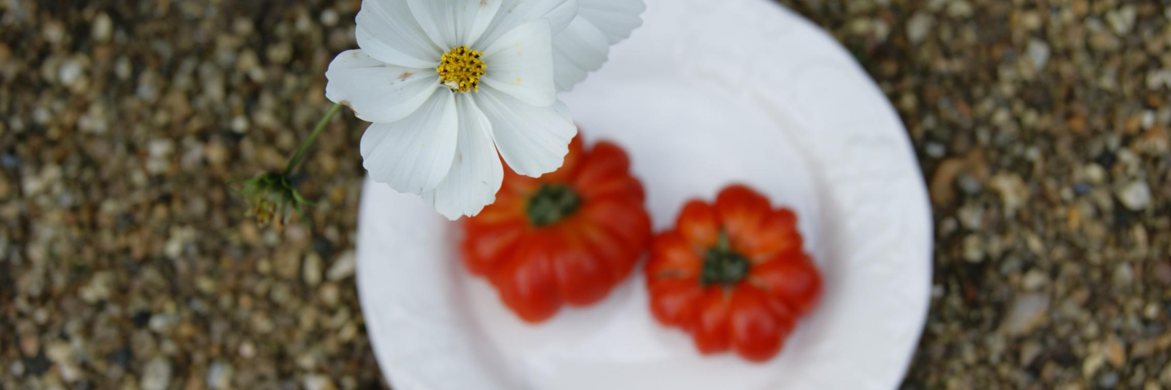 anneskitchen's profile banner image