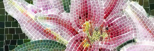 ASMALlBRASI Profile Banner