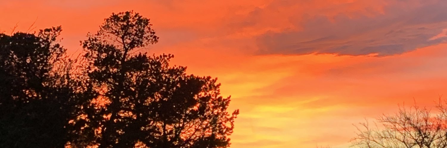 LocoLobo79's profile banner image