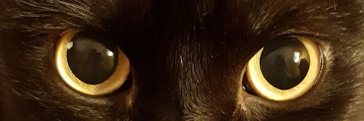 7v779's profile banner image