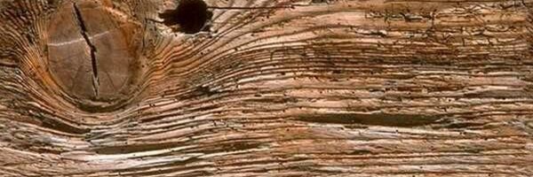 JaumeRamonE Profile Banner