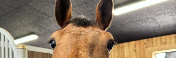 Alice198906152 Profile Banner