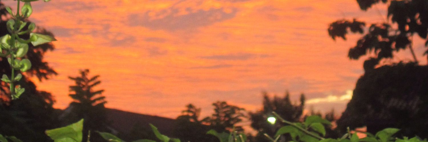 nfeuraa's profile banner image