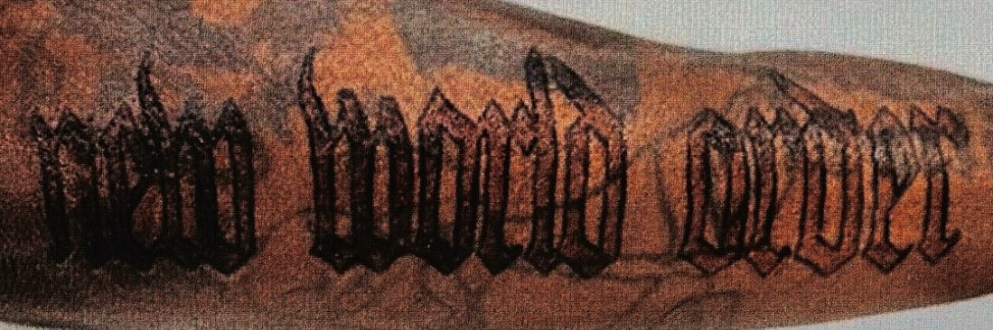 Mega Faggot's banner