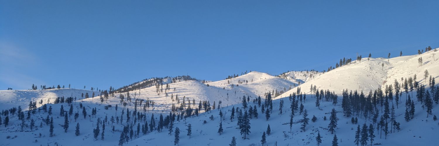 yeah yeah ok sure banner