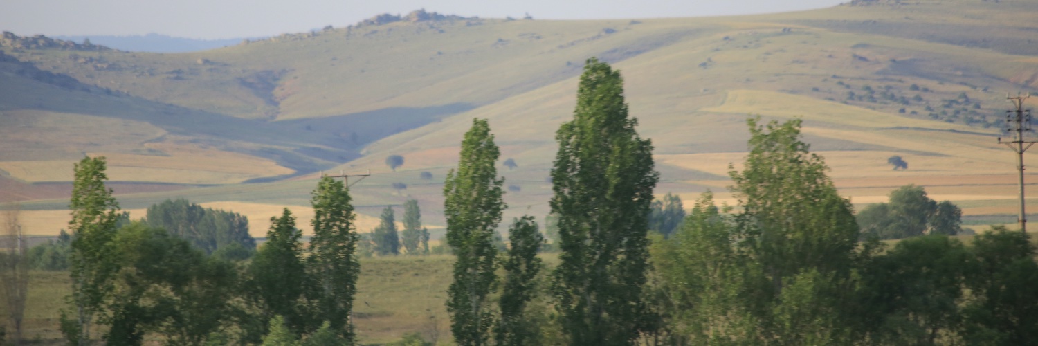 elifcercel's profile banner image