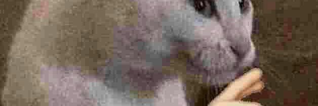 jesuser02's profile banner image