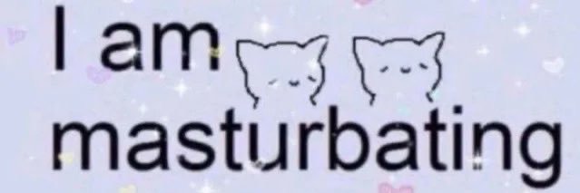 wagwagpup's profile banner image