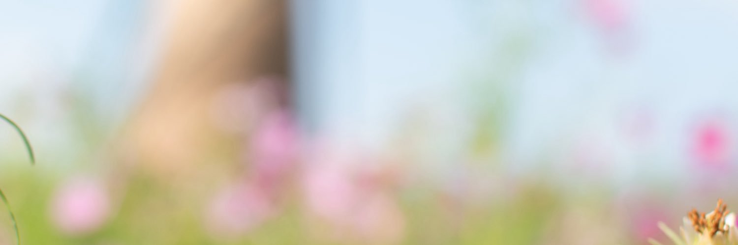 kurage_930's profile banner image