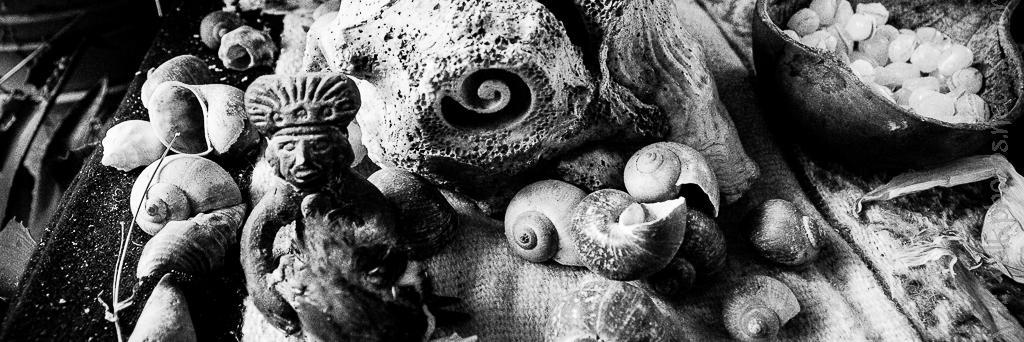 karacole.bsky.social banner